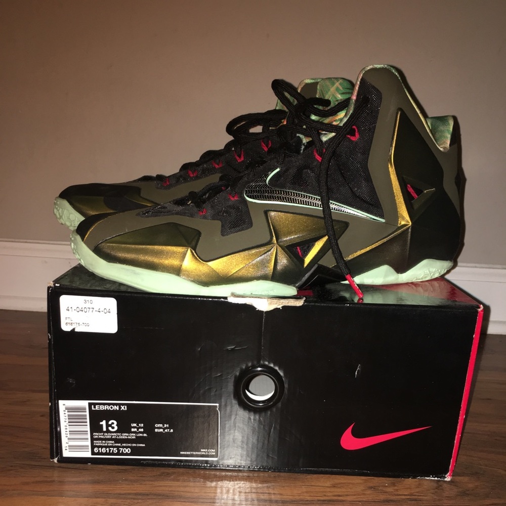 LeBron 11 King’s Pride